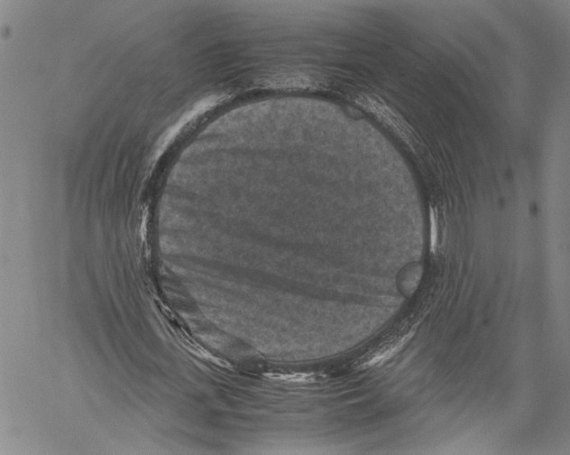 X0000060550723200512011615