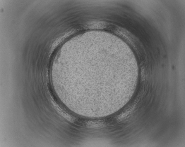 X0000060550725200512011615