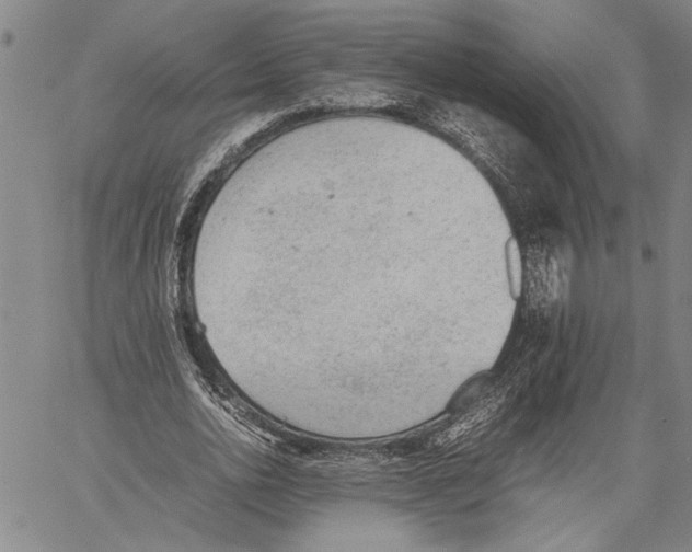 X0000060550726200512011615