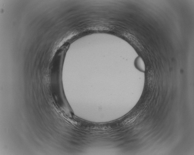 X0000060550727200512011615