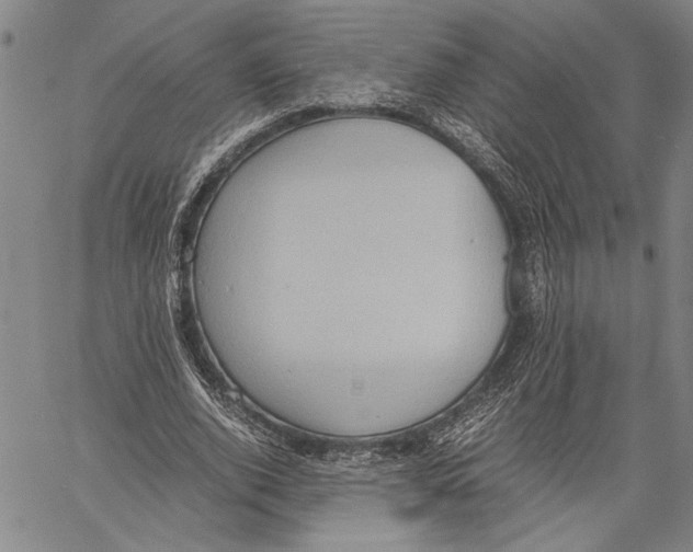 X0000060550728200512011615