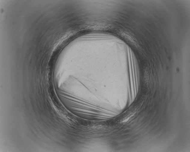 X0000060550730200512011615