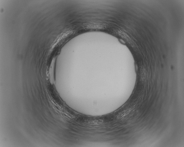 X0000060550731200512011615