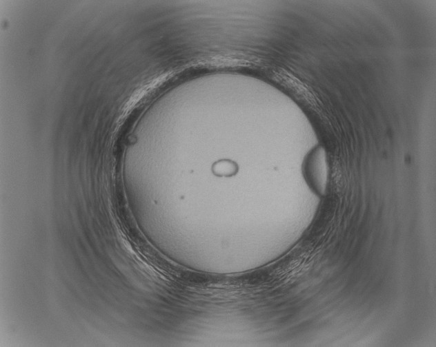 X0000060550732200512011615