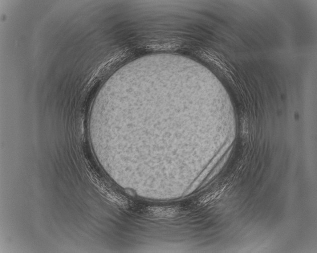 X0000060550733200512011616