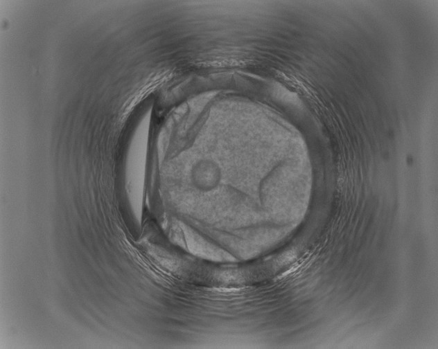 X0000060550735200512011616