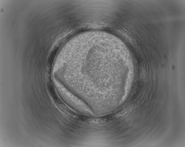 X0000060550736200512011616