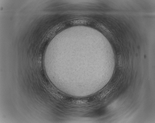 X0000060550737200512011616