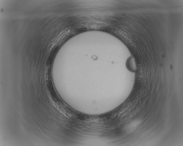 X0000060550738200512011616