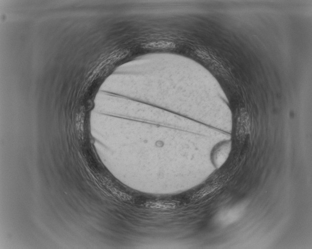 X0000060550739200512011616