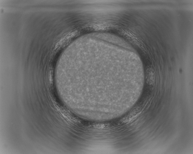 X0000060550740200512011616