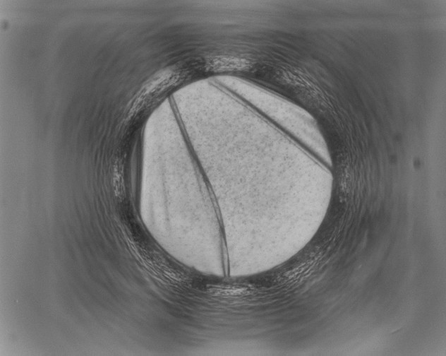 X0000060550743200512011616