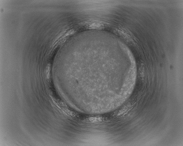 X0000060550744200512011616