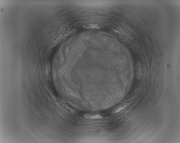 X0000060550747200512011616