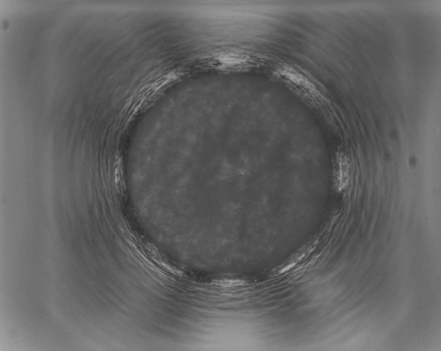 X0000060550748200512011616