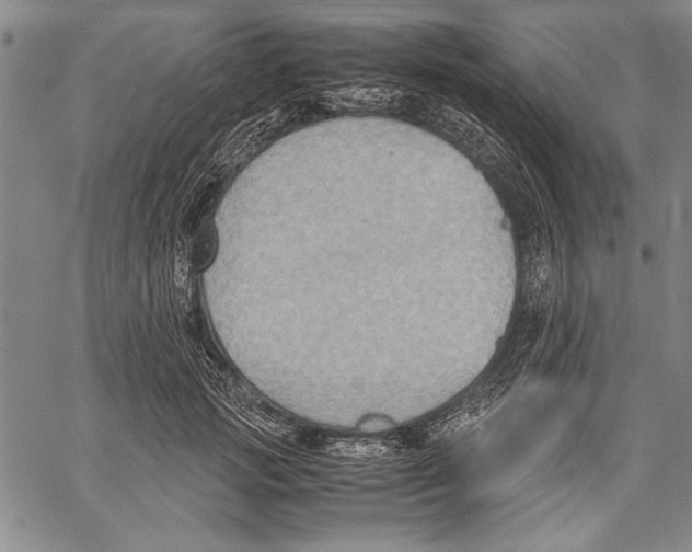 X0000060550749200512011616