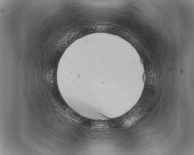 X0000060550750200512011616