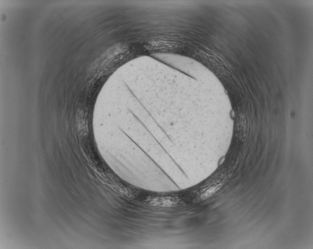 X0000060550751200512011616