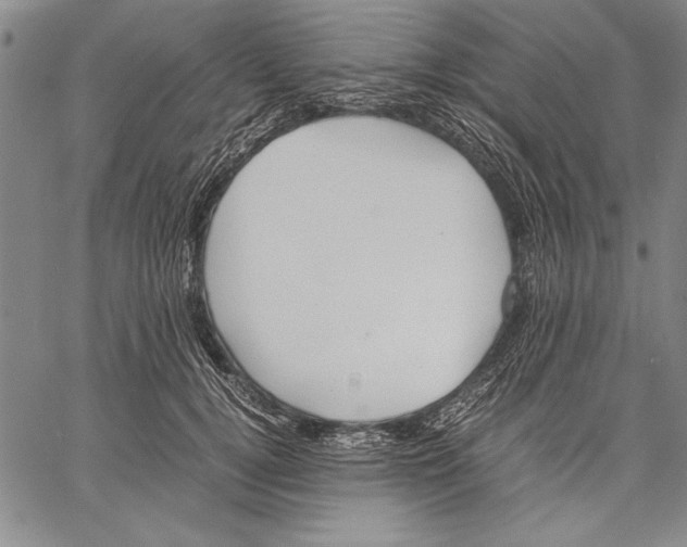 X0000060550752200512011616