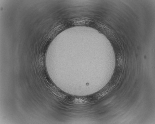 X0000060550753200512011616