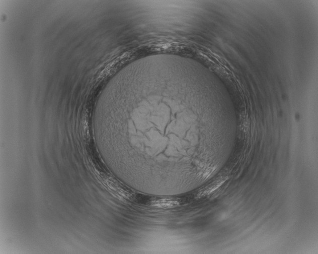 X0000060550754200512011616