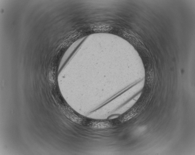 X0000060550755200512011616