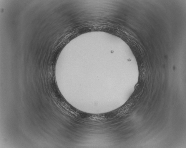 X0000060550756200512011616