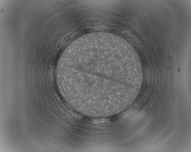 X0000060550757200512011616