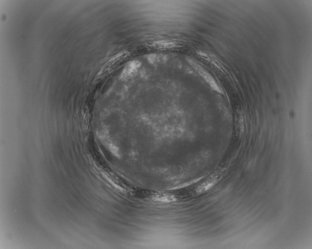 X0000060550760200512011616