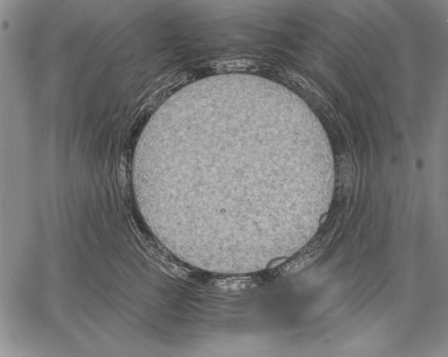 X0000060550761200512011616