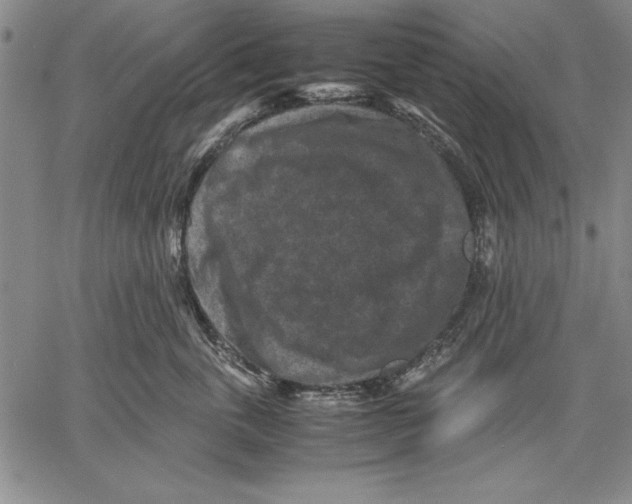 X0000060550763200512011616