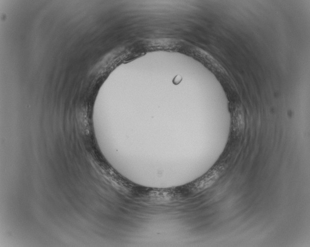 X0000060550764200512011616