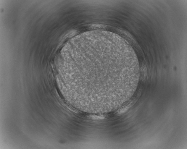 X0000060550765200512011616