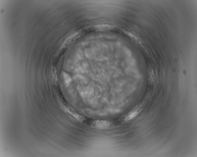 X0000060550766200512011616