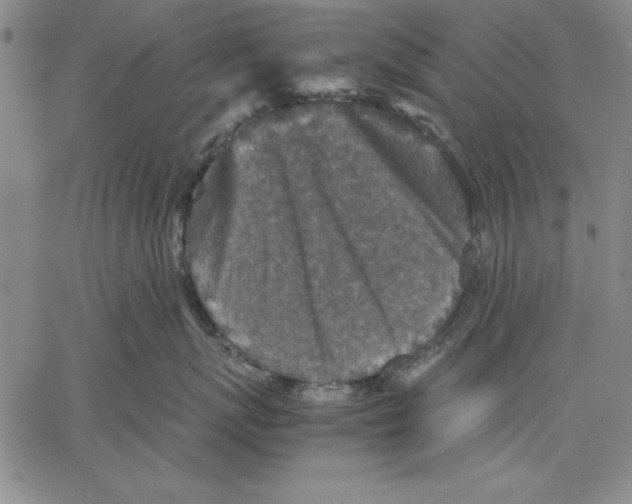 X0000060550767200512011616