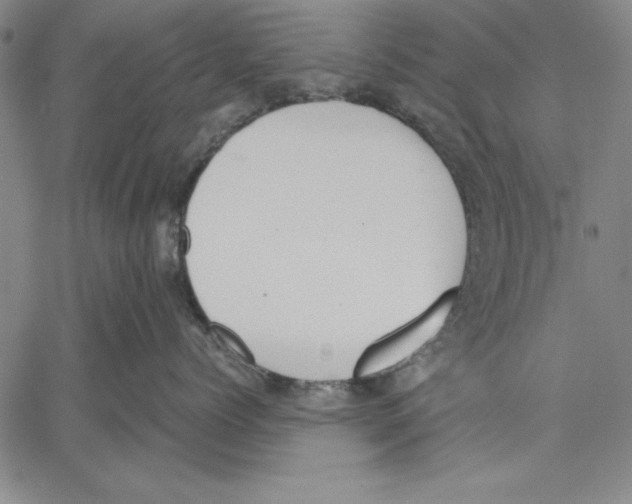 X0000060550768200512011616