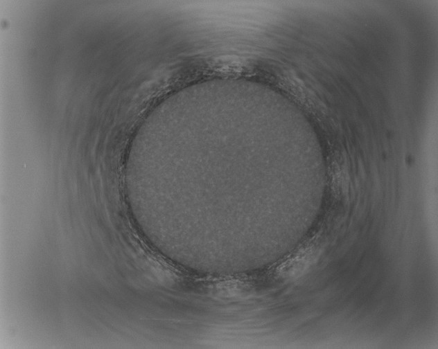 X0000060550769200512011615