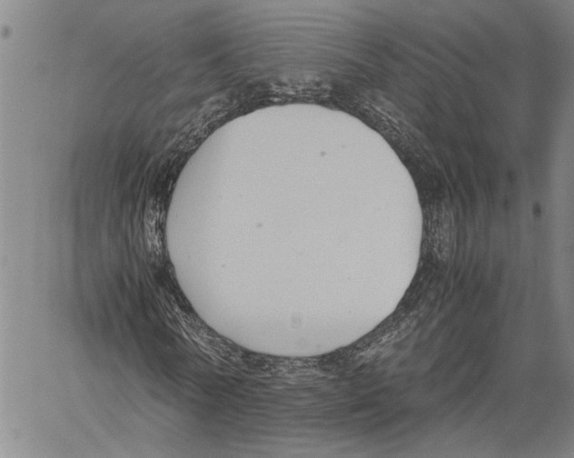 X0000060550770200512011615