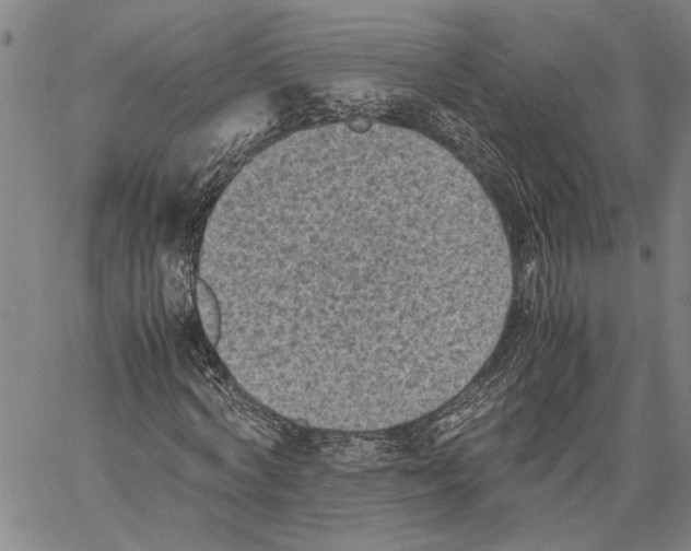 X0000060550772200512011615