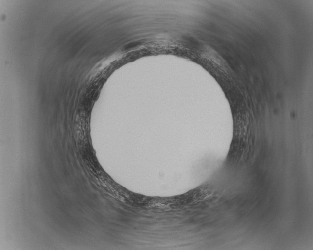 X0000060550773200512011615