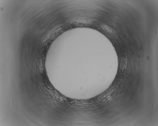 X0000060550774200512011615