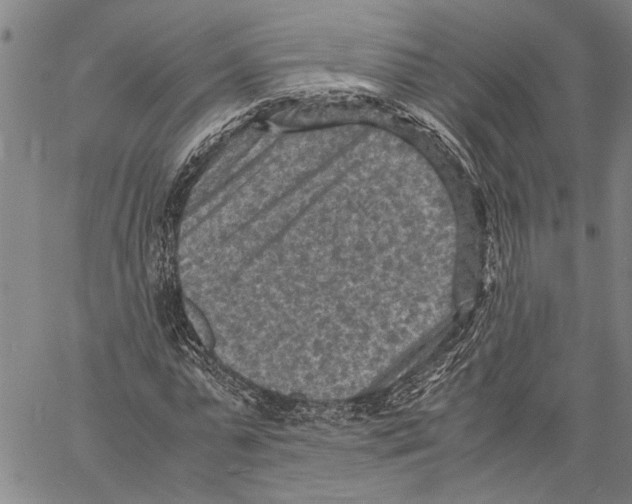 X0000060550775200512011615