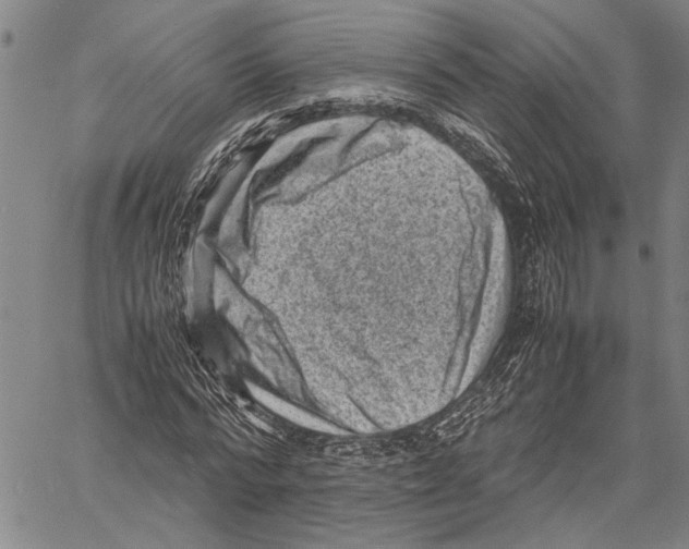 X0000060550776200512011615