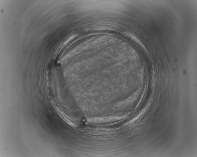 X0000060550777200512011615