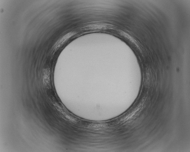 X0000060550778200512011615