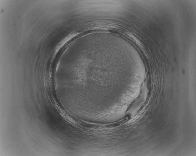 X0000060550779200512011615