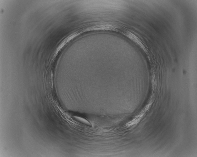 X0000060550781200512011615