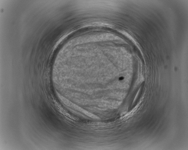 X0000060550783200512011615