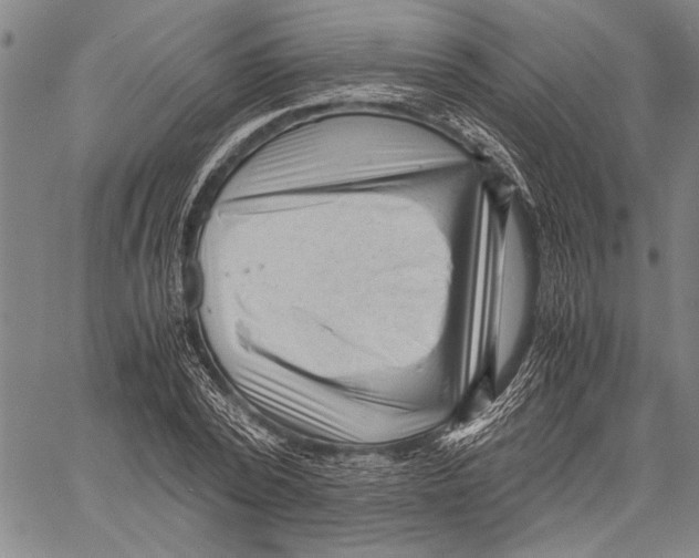 X0000060550784200512011615