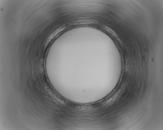 X0000060550786200512011615